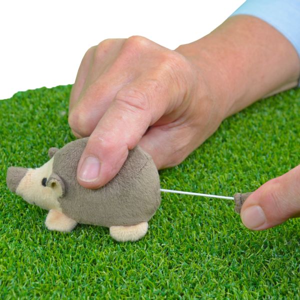 Muxi, der lustige Zappel-Igel