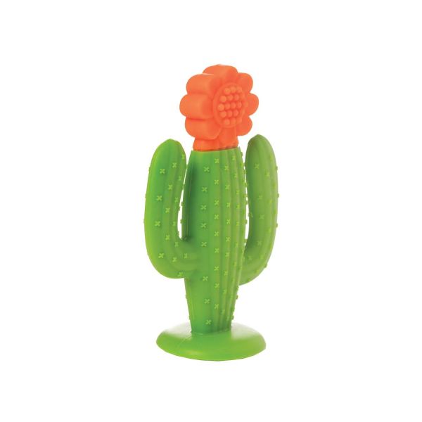 Mein kleiner grüner Kaktus-Teether