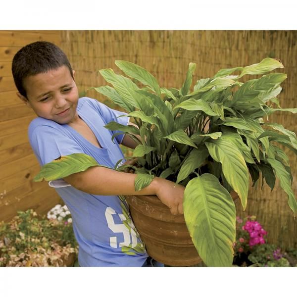 Wörter auf Fotos – Box mit 96 Bildkarten