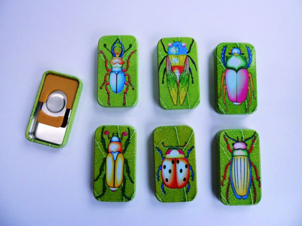Knack-Insekten 6er Set