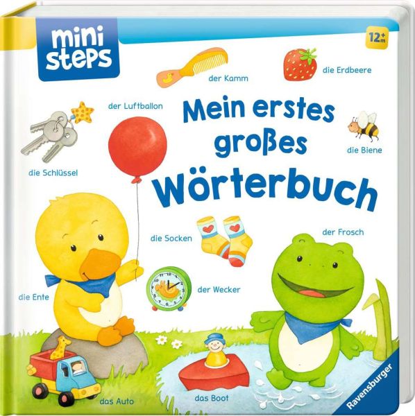 Mein erstes großes Wörterbuch